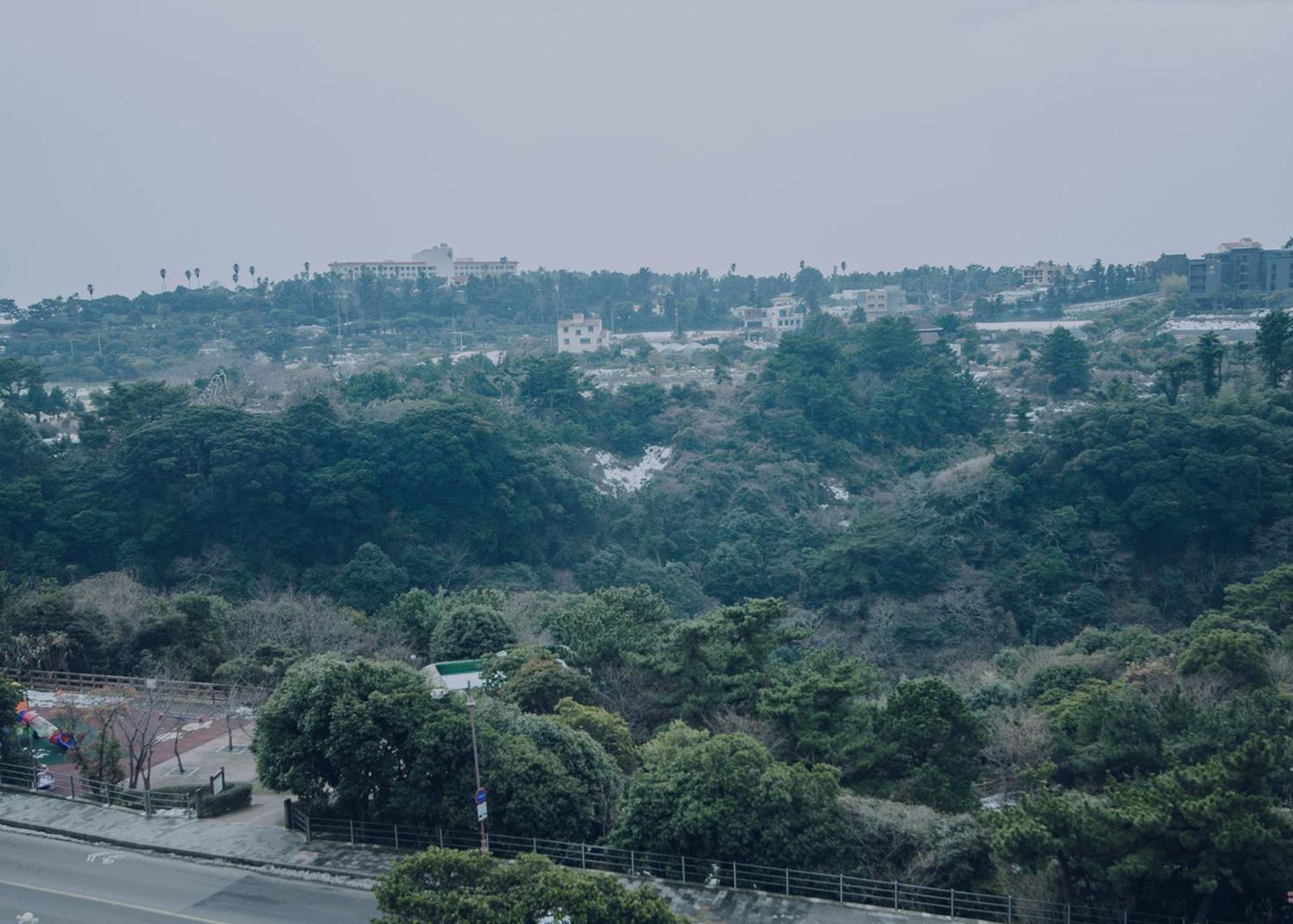 Jeju Lavender Hotel Seogwipo Eksteriør bilde